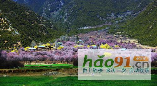 “四季如画·工布江达”第二十二届林芝桃花节专场活动4月3日启幕