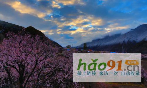 “四季如画·工布江达”第二十二届林芝桃花节专场活动4月3日启幕