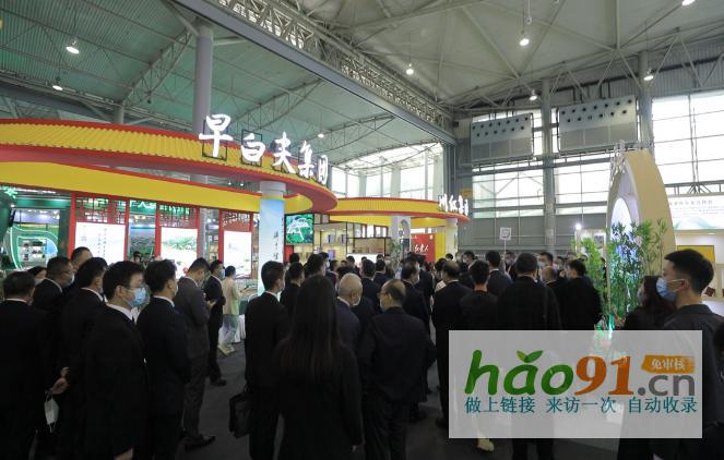 第11届四川国际茶博会开幕！宜宾市31家茶企组团亮相，擦亮茶业强市金字招牌