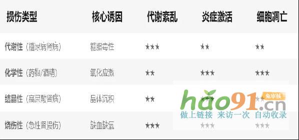 【科研速报】荷蓬茶源素通过代谢调控实现多维度肾脏保护