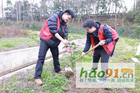共“植”好春光同筑生态梦—石峰区税务局开展义务植树