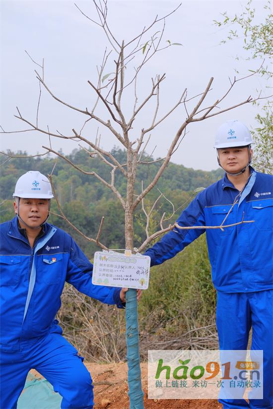 中交二航局白云城际主干道二标项目：植绿护绿，践行绿色使命