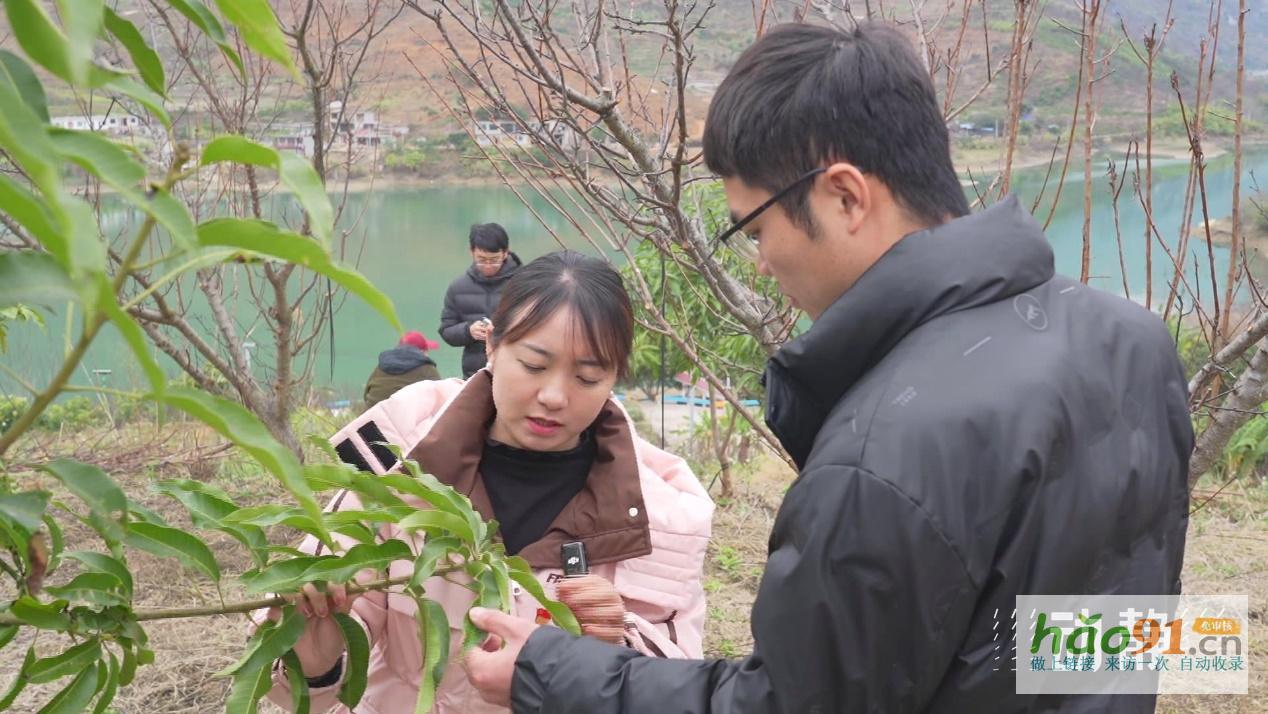 “村”潮涌动处振兴正当时