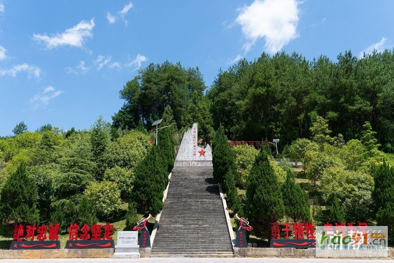 “村”潮涌动处振兴正当时