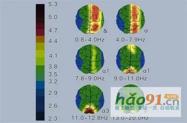 金博智慧：科学训练提升儿童专注力，神经机制与实践路径探析