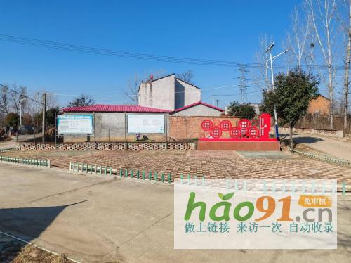 湖北随州：葡萄架下迎丰年