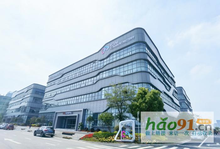 江苏条米信息技术助力数智化转型，打造品牌力_社会热点新闻