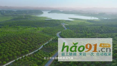 从中华特色馆到苏宁拼购90后芒果销售“老司机”是这样炼成的