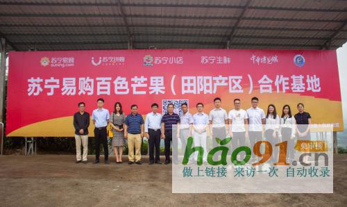 从中华特色馆到苏宁拼购90后芒果销售“老司机”是这样炼成的