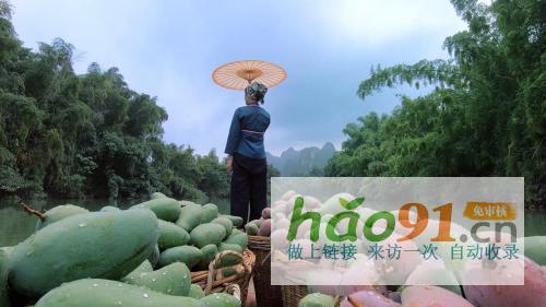 从中华特色馆到苏宁拼购90后芒果销售“老司机”是这样炼成的