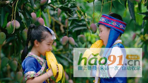 从中华特色馆到苏宁拼购90后芒果销售“老司机”是这样炼成的