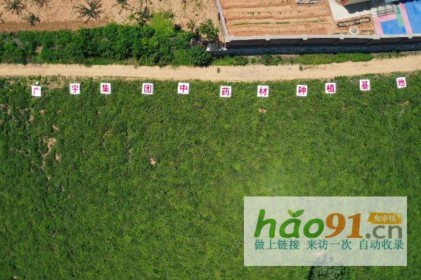 河南广宇集团董事长王广宇：磐石之心，筑梦中医药辉煌篇章