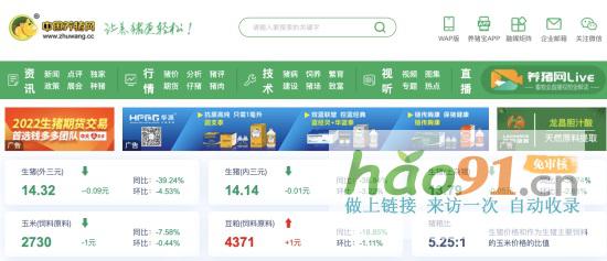揭秘养殖业，养猪网道出行业真相