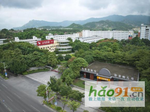 刷新历史！八马茶业连续五年荣膺两大名茶原产地纳税第一称号