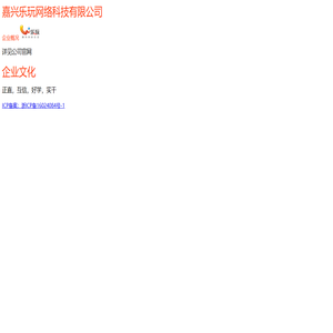嘉兴乐玩网络科技有限公司